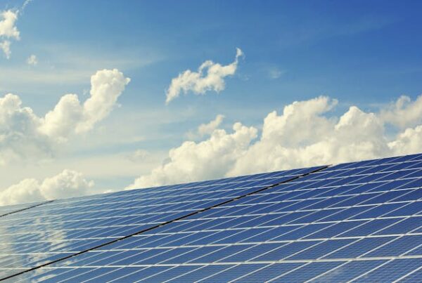 assicurazione impianto fotovoltaico
