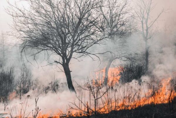 polizza cat nat imprese obbligatoria