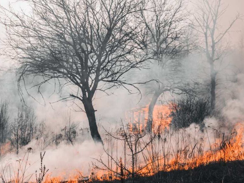 polizza cat nat imprese obbligatoria